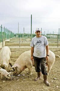 Die Häftlinge auf Gorgona betreuen auch die Tiere der Landwirtschaft.