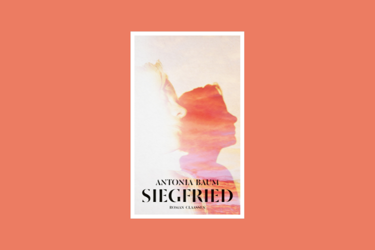 Buchempfehlung: „Siegfried